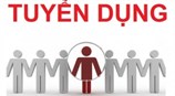 Tuyển chuyên gia hỗ trợ rà soát thực hiện và xây dựng Nghị định thay thế Nghị định số 136/2013/NĐ-CP ngày 21/10/2013 của Chính phủ