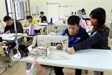 Mỗi năm 20.000 người khuyết tật được hỗ trợ đào tạo nghề