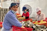 Phát huy vai trò người cao tuổi trong phát triển kinh tế - xã hội