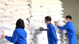 Hỗ trợ gạo cứu đói trong dịp tết Nguyên đán Giáp Thìn và giáp hạt năm 2024