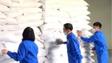 Hỗ trợ gạo cứu đói trong dịp tết Nguyên đán Giáp Thìn và giáp hạt năm 2024