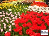 Hưởng ứng kỉ niệm ngày người khuyết tật Việt Nam 18-04-2013 