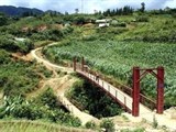 Chương trình 135 hỗ trợ hiệu quả đồng bào dân tộc phát triển kinh tế - xã hội 
