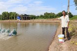 [LĐXH] Người thương binh nặng tình với con tôm, hạt lúa