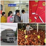 Chính sách mới có hiệu lực từ tháng 1/2015